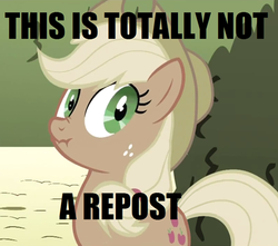 Size: 500x442 | Tagged: safe, applejack, g4, image macro, liar face, liarjack