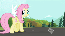 Size: 500x281 | Tagged: safe, screencap, angel bunny, fluttershy, g4, may the best pet win, angel riding fluttershy, animated, butt, duo, flutterbutt, hub logo, plot, rabbits riding ponies, riding
