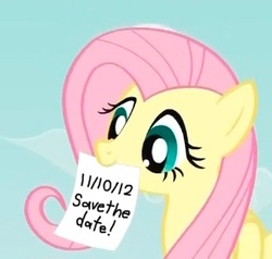 Size: 324x309 | Tagged: safe, fluttershy, g4, my little pony: friendship is magic, season 3, exploitable meme, fluttershy's note meme, meme, note