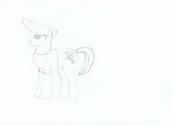 Size: 2338x1700 | Tagged: safe, artist:xeltosh, earth pony, pony, johnny bravo, johnny bravo (character), male, monochrome, ponified, sketch, stallion, traditional art