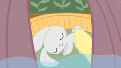 Size: 1280x720 | Tagged: safe, artist:frankier77, angel bunny, fluttershy, g4, crying, dead, fluttervision, hair, pov, sad, tragedy