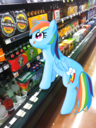 Size: 300x402 | Tagged: safe, artist:ludiculouspegasus, rainbow dash, pony, g4, alcohol, backwards cutie mark, beer, cider, dashaholic, irl, licking, licking lips, photo, ponies in real life, tongue out