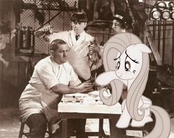 Size: 800x632 | Tagged: safe, fluttershy, human, pegasus, pony, g4, black and white, female, grayscale, hooficure, human and pony, irl, irl human, male, mare, photo, ponies in real life, sepia, the three stooges
