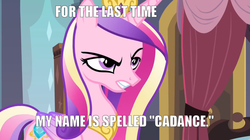 Size: 1269x710 | Tagged: safe, princess cadance, g4, image macro, spelling