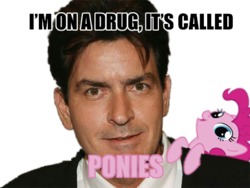 Size: 450x338 | Tagged: safe, pinkie pie, human, g4, charlie sheen, image macro, irl, irl human, meme, photo, pink text