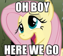 Size: 800x720 | Tagged: safe, edit, edited screencap, screencap, fluttershy, pony, g4, my little pony: friendship is magic, the return of harmony, canterlot hedge maze, cropped, female, image macro, meme, reaction image, solo