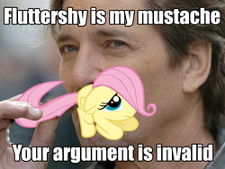 Size: 800x600 | Tagged: safe, fluttershy, human, pegasus, pony, g4, female, filly, image macro, irl, irl human, photo