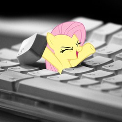 Size: 1600x1600 | Tagged: safe, fluttershy, pegasus, pony, g4, i hid in your keyboard, meme