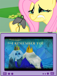 Size: 563x752 | Tagged: safe, fluttershy, pony, g4, adventure time, exploitable meme, ice king, male, meme, tv meme