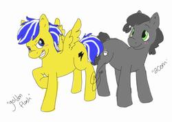 Size: 960x678 | Tagged: safe, oc, oc only, earth pony, pegasus, pony, college, kent state university, ohio, university