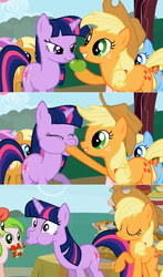 Size: 864x1469 | Tagged: safe, edit, edited screencap, screencap, apple cider (g4), apple cobbler, applejack, peachy sweet, red gala, twilight sparkle, earth pony, pony, unicorn, friendship is magic, g4, animation error, apple, apple cider, apple family member, female, mare, scrunchy face, unicorn twilight