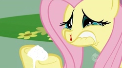 Size: 500x279 | Tagged: safe, edit, edited screencap, screencap, fluttershy, pony, a bird in the hoof, g4, blood, cocaine, drugs, female, nosebleed, solo