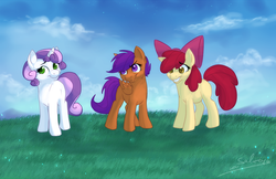 Size: 888x574 | Tagged: safe, artist:ronnie-wolf, apple bloom, scootaloo, sweetie belle, g4, cutie mark crusaders