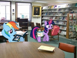 Size: 600x450 | Tagged: safe, artist:paris7500, rainbow dash, twilight sparkle, pony, g4, irl, library, magic, photo, ponies in real life, saddle bag, vector