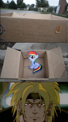 Size: 502x900 | Tagged: safe, rainbow dash, pegasus, pony, fanfic:my little dashie, g4, dashie meme, dio brando, evil people finding dash meme, exploitable meme, jojo's bizarre adventure, meme, photo, this will end in tears