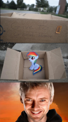 Size: 396x700 | Tagged: safe, rainbow dash, pegasus, pony, fanfic:my little dashie, g4, dashie meme, doctor who, evil people finding dash meme, exploitable meme, meme, photo, the master