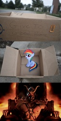 Size: 1323x2607 | Tagged: safe, rainbow dash, pegasus, pony, fanfic:my little dashie, g4, dashie meme, evil people finding dash meme, exploitable meme, meme, mortal kombat, shao kahn