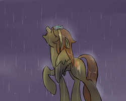 Size: 1280x1024 | Tagged: safe, artist:publiclibraryx, spitfire, pony, g4, female, rain, solo, wet mane