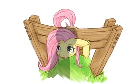 Size: 700x470 | Tagged: safe, artist:rigi, fluttershy, pegasus, pony, g4, blushing, bondage, bondage furniture, crying, female, floppy ears, looking up, mare, open mouth, pixiv, shadow, simple background, solo focus, stocks, white background