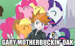 Size: 604x371 | Tagged: safe, applejack, fluttershy, pinkie pie, rarity, twilight sparkle, g4, crossover, gary motherfucking oak, gary oak, image macro, pokémon