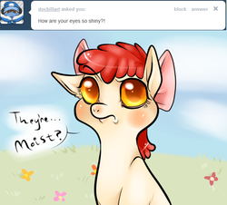Size: 630x570 | Tagged: safe, apple bloom, ask appa blume, g4, ask, tumblr