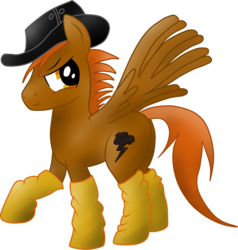 Size: 1983x2082 | Tagged: safe, artist:jetwave, oc, oc only, oc:calamity, pegasus, pony, fallout equestria, brand, clothes, fanfic, fanfic art, hat, male, simple background, socks, solo, stallion, transparent background, wings