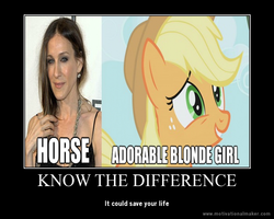 Size: 750x600 | Tagged: safe, applejack, g4, demotivational poster, know the difference, meme, sarah jessica parker, wrong aspect ratio