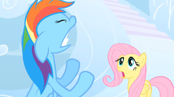 Size: 854x479 | Tagged: safe, screencap, fluttershy, rainbow dash, pony, g4, sonic rainboom (episode), cloudsdale