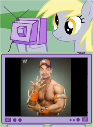 Size: 882x1207 | Tagged: safe, derpy hooves, pony, g4, exploitable meme, john cena, meme, mr bean, photoshop, tv meme, wwe