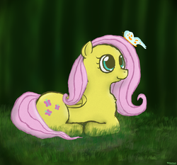 Size: 1390x1294 | Tagged: safe, artist:coco, fluttershy, butterfly, pony, g4, cute, female, fluffy, grass, prone, smiling, solo