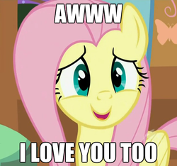 Size: 625x584 | Tagged: safe, fluttershy, pegasus, pony, g4, cute, daaaaaaaaaaaw, female, heartwarming, hnnng, image macro, love, shyabetes, solo