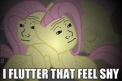 Size: 627x415 | Tagged: safe, fluttershy, g4, dem feels, hug, image macro