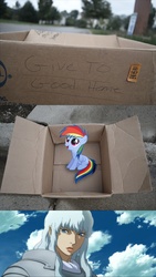 Size: 1323x2345 | Tagged: safe, rainbow dash, human, pegasus, pony, fanfic:my little dashie, g4, berserk, dashie meme, evil people finding dash meme, exploitable meme, griffith, meme