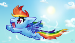 Size: 322x188 | Tagged: safe, artist:mahoxyshoujo, rainbow dash, pegasus, pony, g4, buzzing wings, chibi, cloud, cloudy, cute, dashabetes, flying, sky, solo, sun, wings