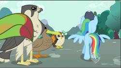 Size: 1920x1080 | Tagged: safe, screencap, rainbow dash, pony, g4, may the best pet win, coach rainbow dash