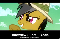 Size: 1024x671 | Tagged: safe, daring do, comic:celestia's servant interview, g4, caption, interview, meta