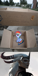 Size: 1323x2607 | Tagged: safe, rainbow dash, pegasus, pony, fanfic:my little dashie, g4, crossover, dashie meme, dragon age, dragon age 2, evil people finding dash meme, exploitable meme, flemeth, meme