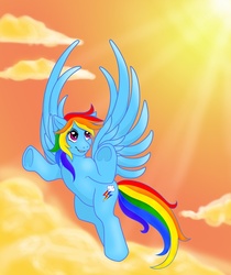 Size: 671x800 | Tagged: safe, artist:stellarina, rainbow dash, pony, g4, female, solo