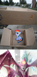 Size: 628x1317 | Tagged: safe, rainbow dash, demon, pegasus, pony, fanfic:my little dashie, g4, dashie meme, evil people finding dash meme, exploitable meme, meme, ninja gaiden, photo