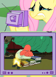 Size: 563x771 | Tagged: safe, fluttershy, pony, g4, exploitable meme, fluttercry, futurama, male, meme, slinky, tv meme, zoidberg