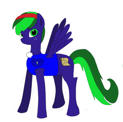 Size: 1250x1238 | Tagged: safe, artist:dragonlordt, oc, oc only, oc:checkmate, pegasus, pony, solo