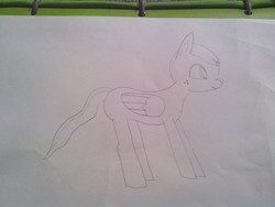 Size: 2560x1920 | Tagged: safe, artist:dragonlordt, oc, oc only, pegasus, pony, sketch