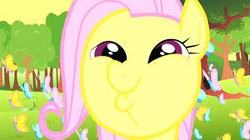 Size: 300x168 | Tagged: safe, fluttershy, pony, g4, bust, dashface, female, mare, outdoors, picture for breezies, solo, wrong eye color