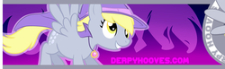 Size: 767x237 | Tagged: safe, derpy hooves, pegasus, pony, g4, banner, female, mare