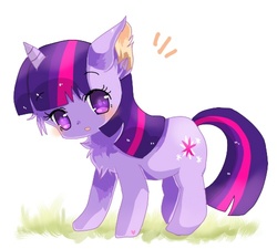 Size: 500x450 | Tagged: safe, artist:tsukuda, twilight sparkle, cat, cat pony, original species, g4, blushing, catified, chest fluff, cute, ear fluff, female, kitten, looking at you, pixiv, solo, species swap, twiabetes, twilight cat