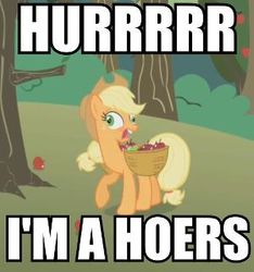 Size: 300x320 | Tagged: safe, applejack, g4, derp, hoers, image macro