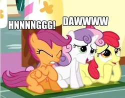 Size: 392x308 | Tagged: safe, edit, screencap, apple bloom, scootaloo, sweetie belle, earth pony, pegasus, pony, unicorn, g4, season 1, the cutie mark chronicles, caption, cropped, cute, cutie mark crusaders, daaaaaaaaaaaw, eyes closed, female, filly, foal, gritted teeth, heart attack, hnnng, image macro, meme, open mouth, prone, raised hoof, real heart attack, sitting, smiling, trio