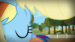 Size: 1200x675 | Tagged: safe, applejack, rainbow dash, g4, apple, female, female pov, kissing, lesbian, offscreen character, orchard, perspective, pov, ship:appledash, shipping