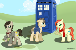 Size: 1063x700 | Tagged: safe, artist:uropygid, doctor whooves, time turner, earth pony, pony, g4, amy pond, crossover, doctor who, eleventh doctor, female, male, mare, ponified, rory williams, stallion, tardis, the doctor, trio