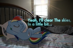 Size: 2464x1632 | Tagged: safe, artist:oppositebros, rainbow dash, pony, g4, bed, irl, photo, ponies in real life, vector